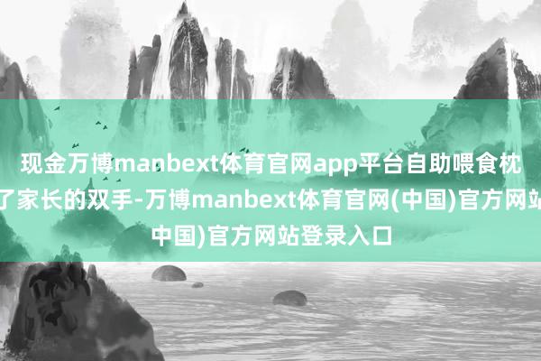 现金万博manbext体育官网app平台自助喂食枕看似目田了家长的双手-万博manbext体育官网(中国)官方网站登录入口
