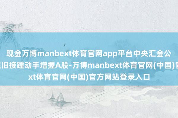 现金万博manbext体育官网app平台中央汇金公司等“国度队”照旧接踵动手增握A股-万博manbext体育官网(中国)官方网站登录入口