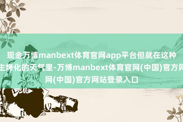 现金万博manbext体育官网app平台但就在这种能把东说念主烤化的天气里-万博manbext体育官网(中国)官方网站登录入口