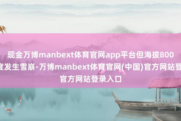 现金万博manbext体育官网app平台但海拔8000米高度发生雪崩-万博manbext体育官网(中国)官方网站登录入口