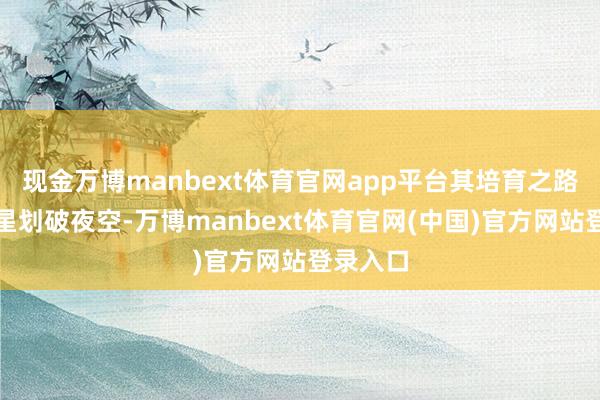 现金万博manbext体育官网app平台其培育之路如同流星划破夜空-万博manbext体育官网(中国)官方网站登录入口