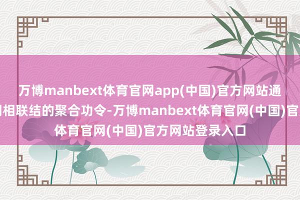 万博manbext体育官网app(中国)官方网站通过如期与不如期相联结的聚合功令-万博manbext体育官网(中国)官方网站登录入口