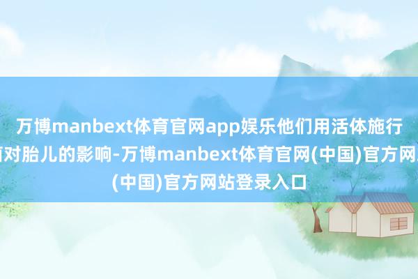 万博manbext体育官网app娱乐他们用活体施行不雅察细菌对胎儿的影响-万博manbext体育官网(中国)官方网站登录入口