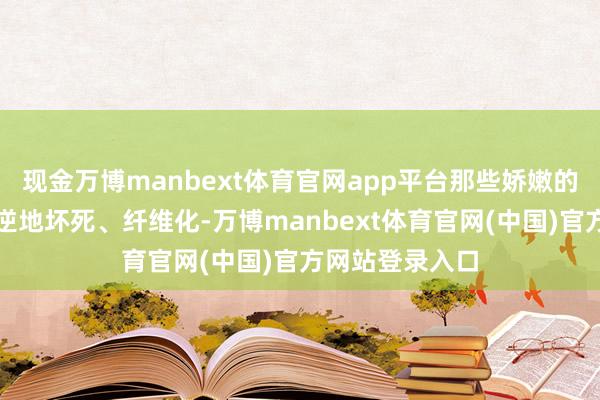 现金万博manbext体育官网app平台那些娇嫩的肾单位会弗成逆地坏死、纤维化-万博manbext体育官网(中国)官方网站登录入口